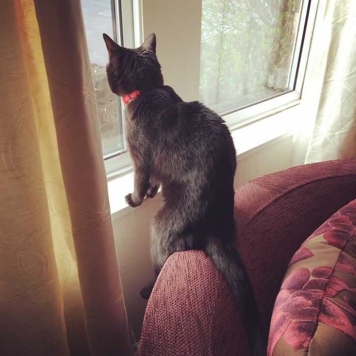 Sitting Like A Real Person