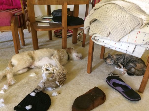 It Happened While We Were Sleeping!