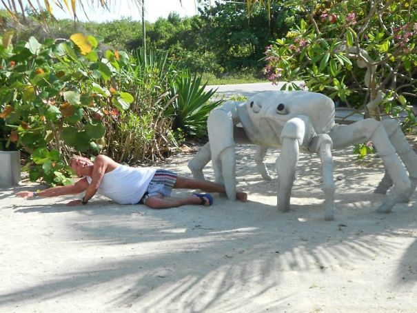 Big Crabs In Grand Cayman