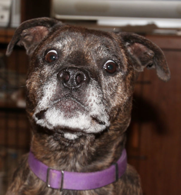 Oh...you Said Bath...