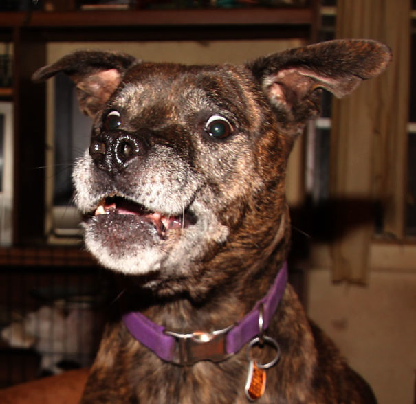 Walk? Did You Say Walk?