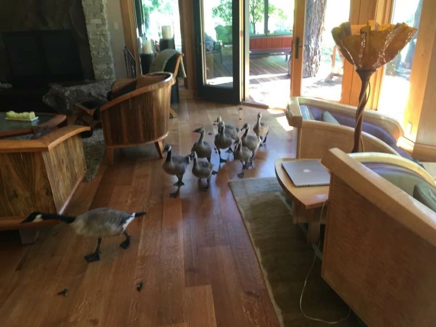 My Parents Have Lived In Their Home For Over 10 Years, This Was The First Time Anything Like This Had Happened My Parents Have Lived In Their Home For Over 10 Years, This Was The First Time Anything Like This Had Happened