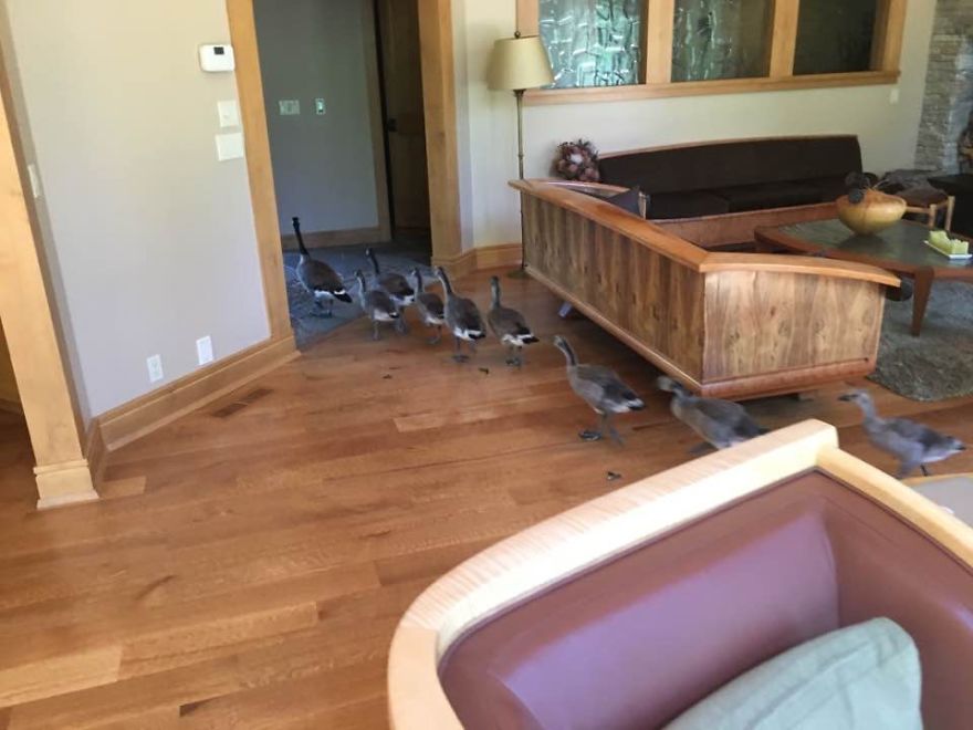 My Parents Have Lived In Their Home For Over 10 Years, This Was The First Time Anything Like This Had Happened My Parents Have Lived In Their Home For Over 10 Years, This Was The First Time Anything Like This Had Happened