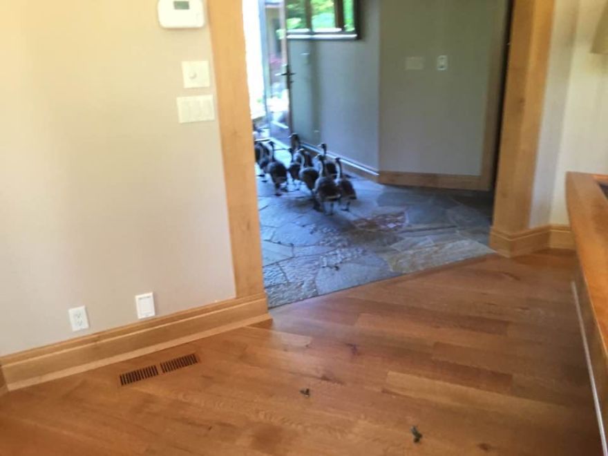 My Parents Have Lived In Their Home For Over 10 Years, This Was The First Time Anything Like This Had Happened My Parents Have Lived In Their Home For Over 10 Years, This Was The First Time Anything Like This Had Happened