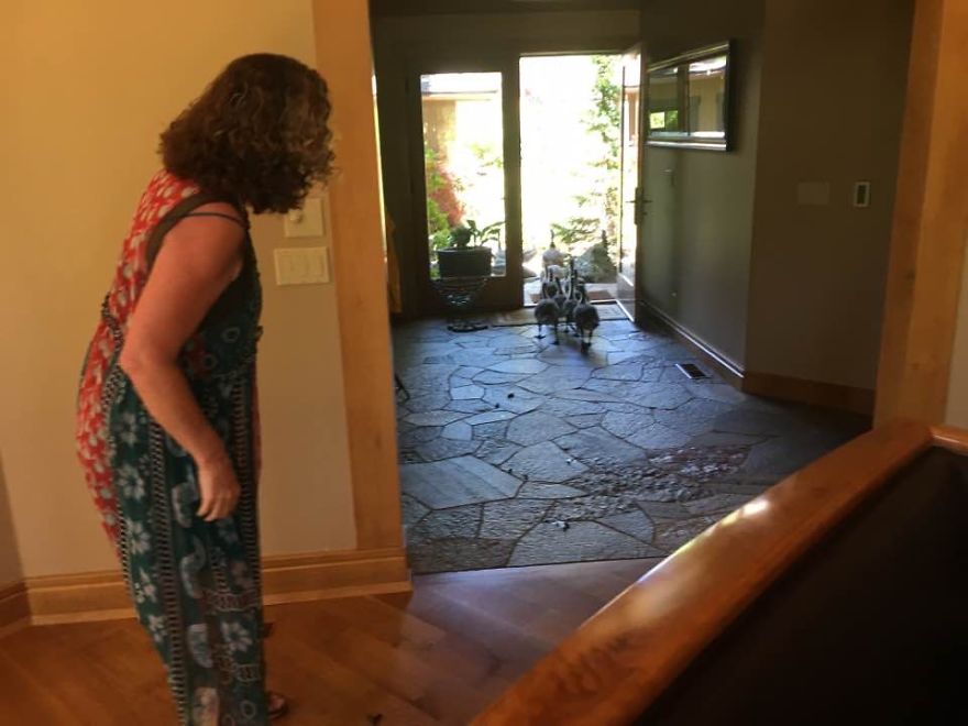 My Parents Have Lived In Their Home For Over 10 Years, This Was The First Time Anything Like This Had Happened