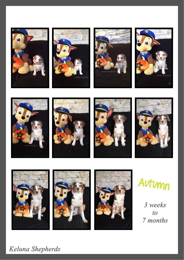 Autumn 3 Weeks To 7 Months