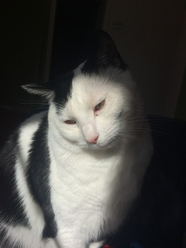 Last Sunshine Of The Day