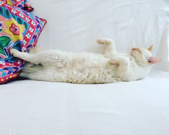 Cos This Is Thriiiiller