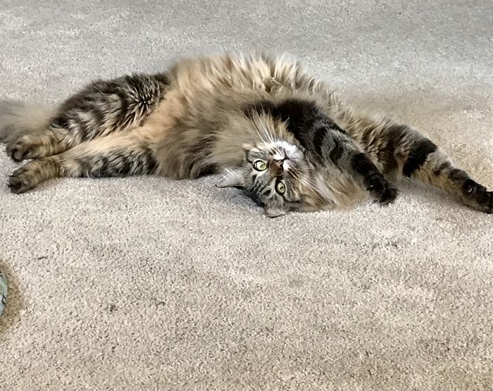 He Has A Case Of The Mondays...