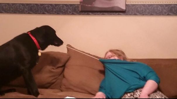 He Decided The Only Way To Become The Alpha Dog Was To "off" Me