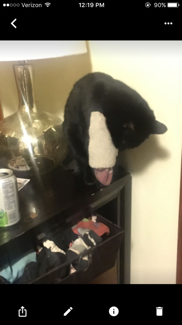 He Only Steals The Fluffy Socks