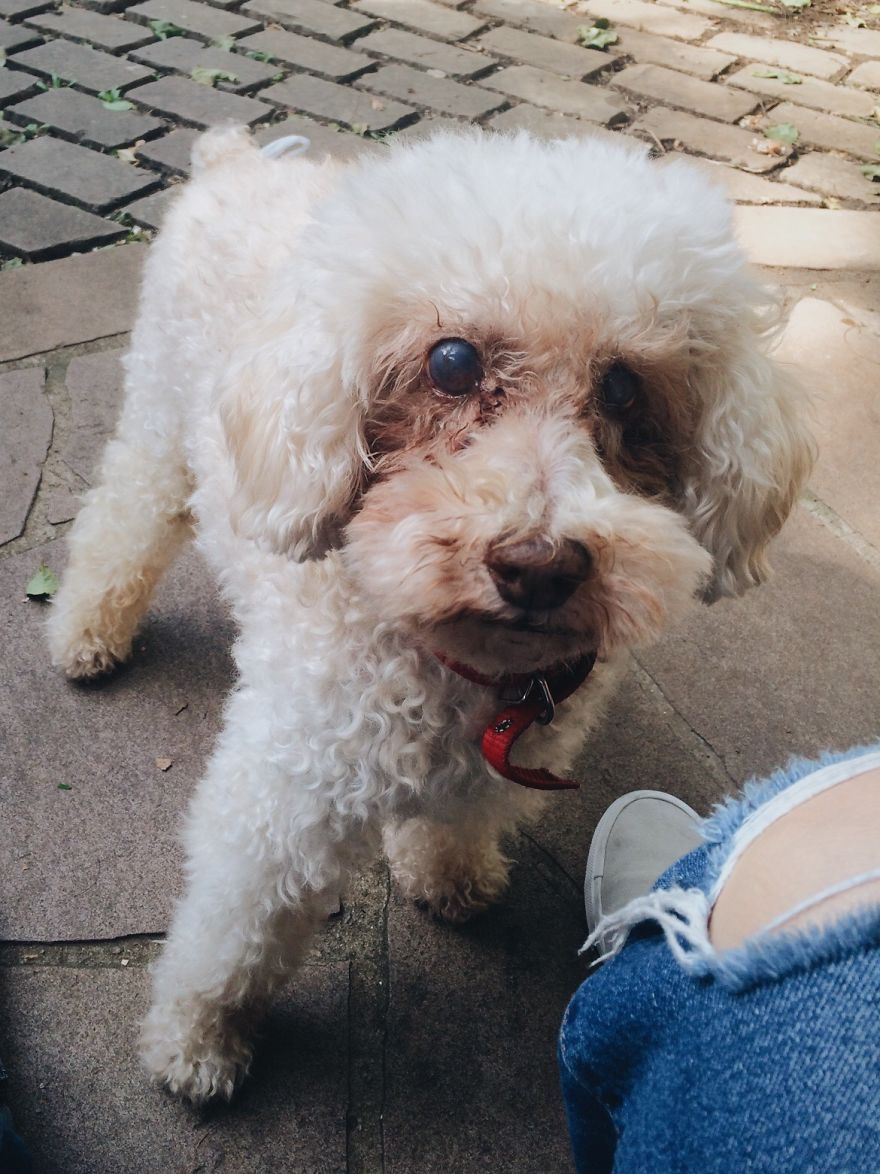 My Family And I Were Adopting Rescued Pets Since 2009 And This Is What We Got My Family And I Were Adopting Rescued Pets Since 2009 And This Is What We Got