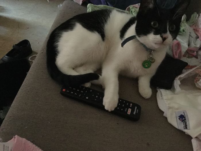 He Held My Remote Hostage Till I Gave Him My Sausage Roll
