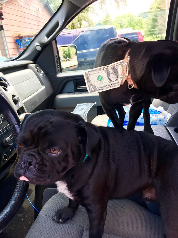 Jasper "weenie Man" Collins Thinks He Deserves More Than A $1