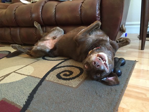 First He Sleeps. Then He Does This.