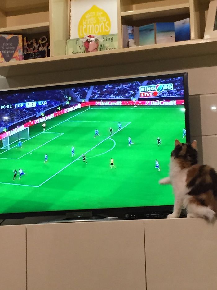 Playing With The Boys :)