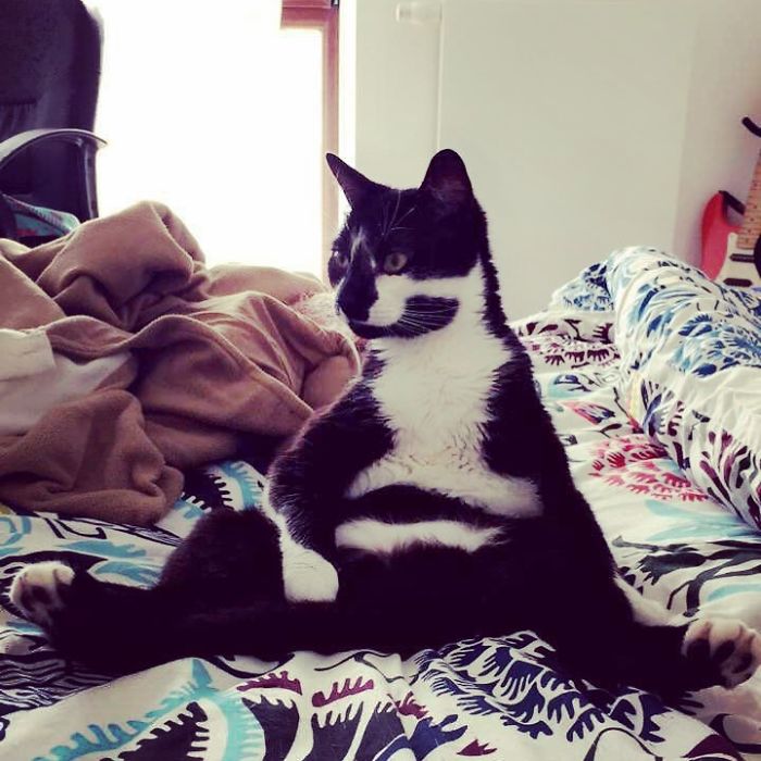 He's Always Like This After Clean Up His Belly