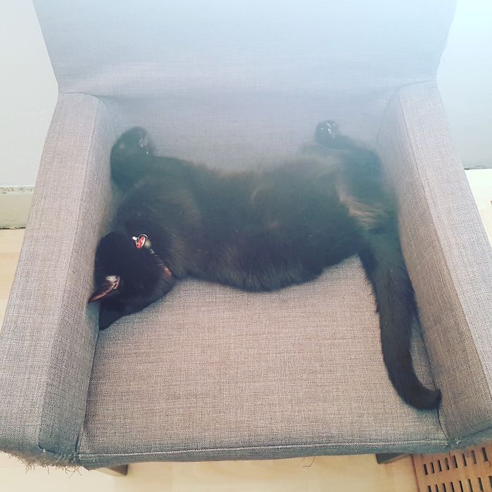 Came Home And Found Her Like This