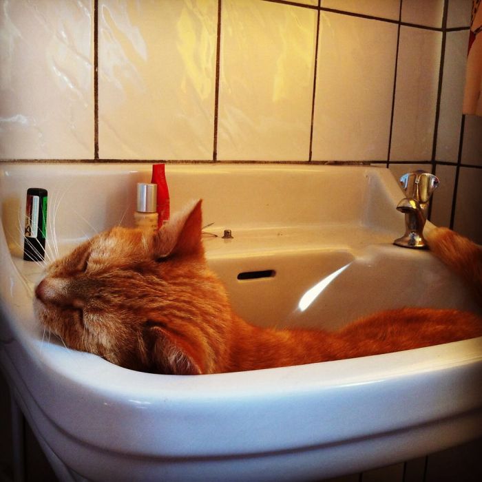 Buddha Being... Well Buddha