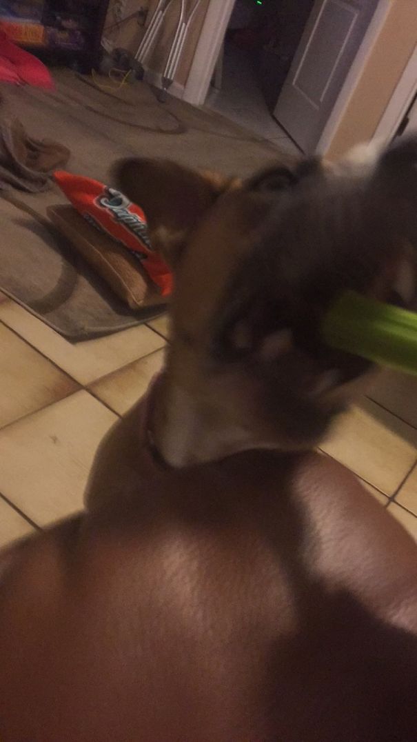 She Thought I Wasn't Looking And Seized The Moment.