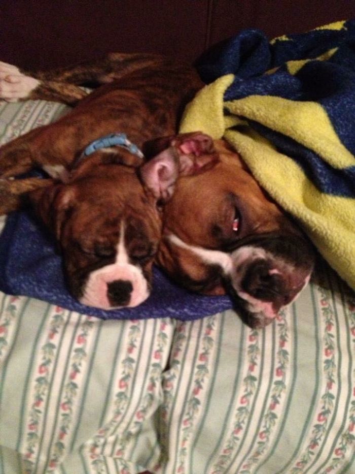 Some Things Never Change