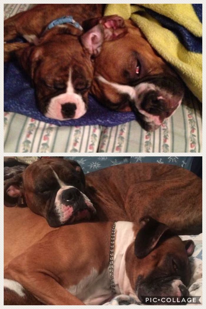 Some Things Never Change!