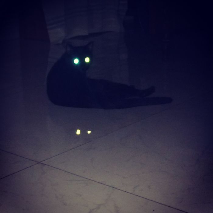 My Miku Scares The Hell Out Of Me Sometimes