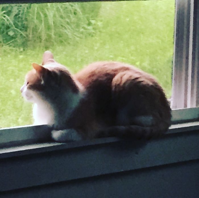 Walked Into My Best Friend's Room To This.