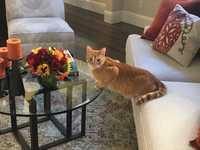 A Perfect Place To Sit And Relax...