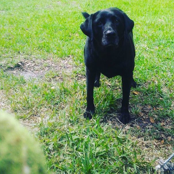 I'm 11 And I Adore Taking Pictures I'm 11 And I Adore Taking Pictures