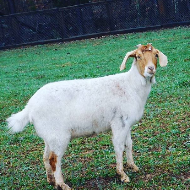 I'm 11 And I Adore Taking Pictures I'm 11 And I Adore Taking Pictures