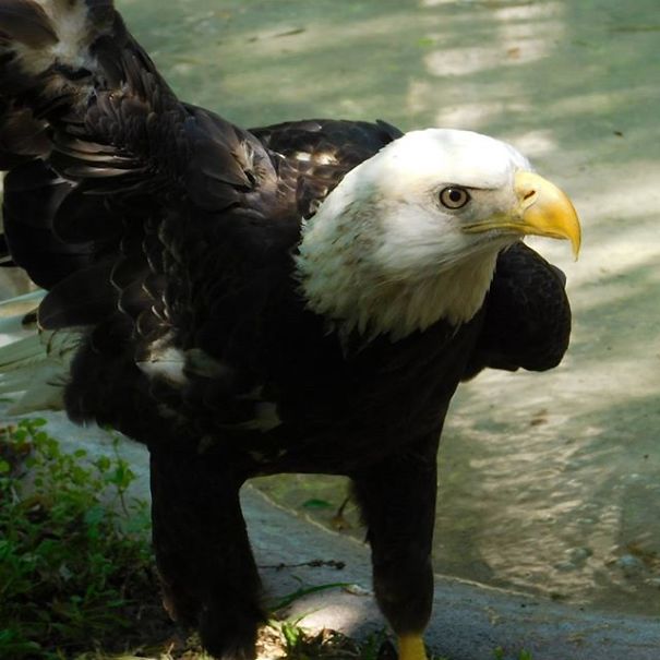 I'm 11 And I Adore Taking Pictures I'm 11 And I Adore Taking Pictures