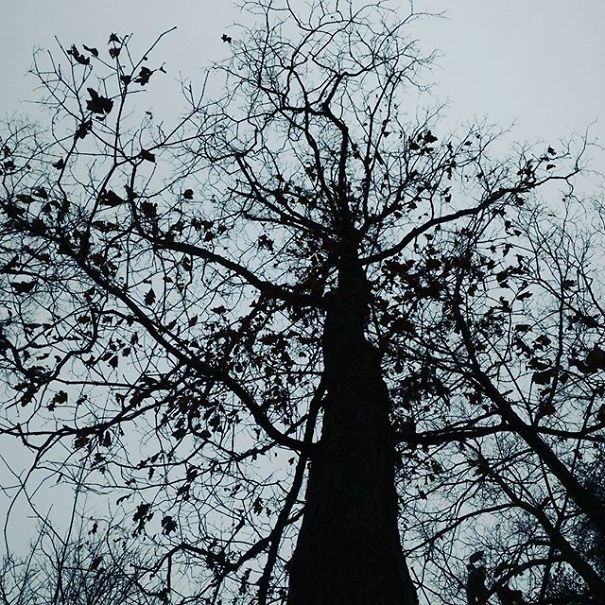 I'm 11 And I Adore Taking Pictures