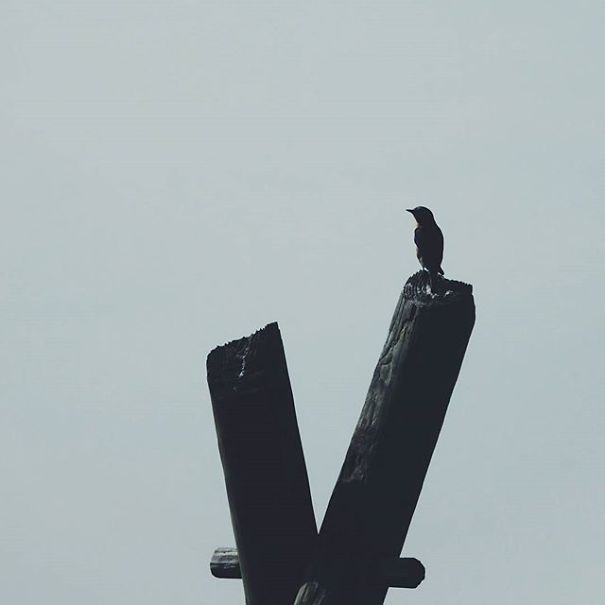 I'm 11 And I Adore Taking Pictures I'm 11 And I Adore Taking Pictures