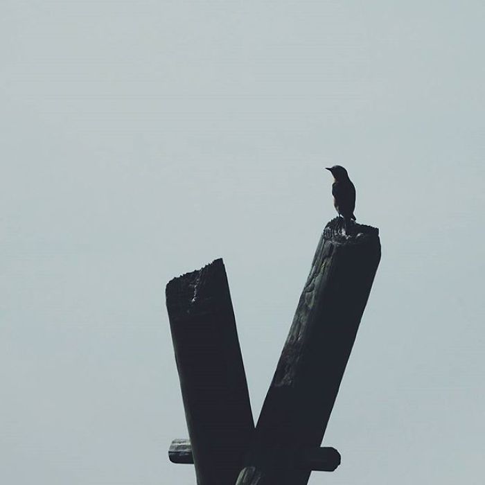 I’m 11 And I Adore Taking Pictures