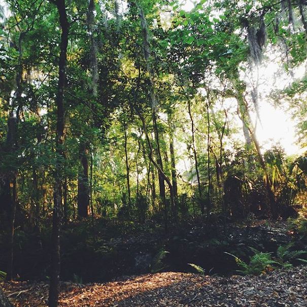 I'm 11 And I Adore Taking Pictures I'm 11 And I Adore Taking Pictures