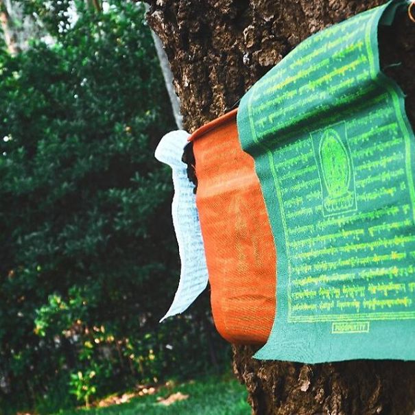 I'm 11 And I Adore Taking Pictures I'm 11 And I Adore Taking Pictures