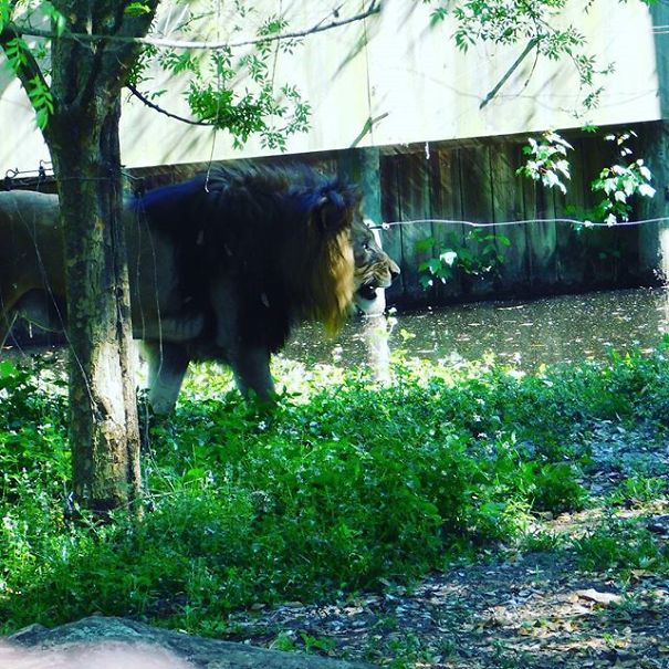 I'm 11 And I Adore Taking Pictures I'm 11 And I Adore Taking Pictures