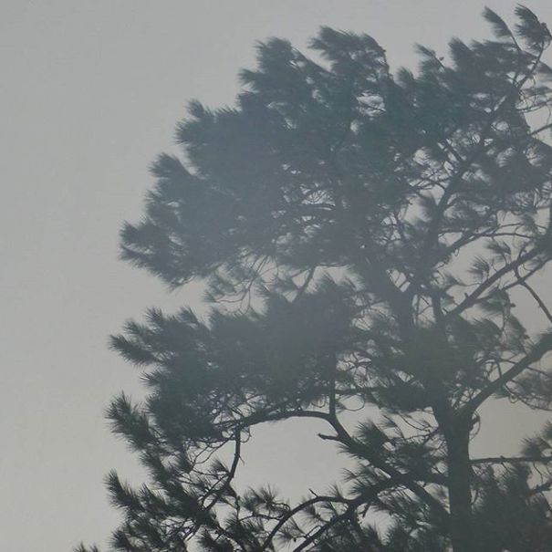 I'm 11 And I Adore Taking Pictures I'm 11 And I Adore Taking Pictures