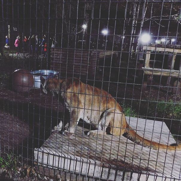 I'm 11 And I Adore Taking Pictures I'm 11 And I Adore Taking Pictures