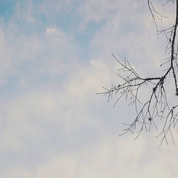 I'm 11 And I Adore Taking Pictures