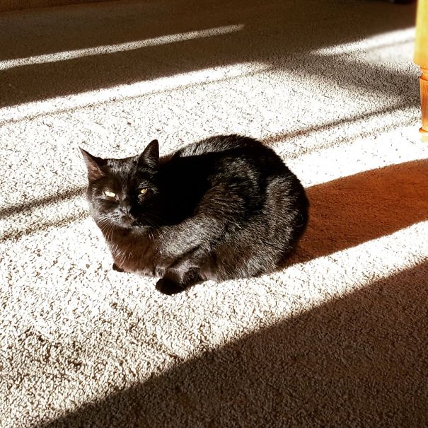 Popo Is Soaking Up The Rays