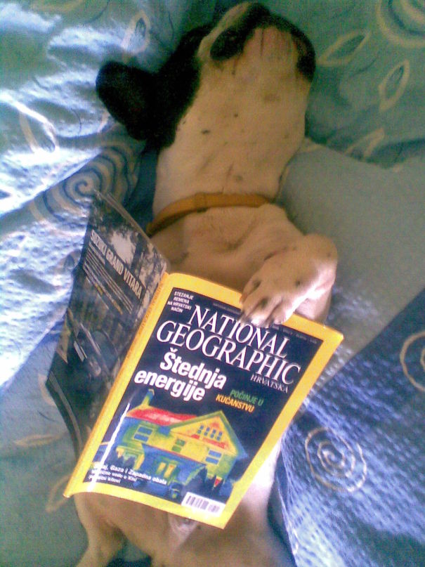 Secretly Learning About Energy Saving