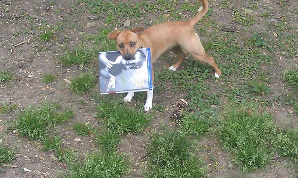 She Wanted Me To Stop Studying, So When I Wasn't Looking She Took My Textbook.