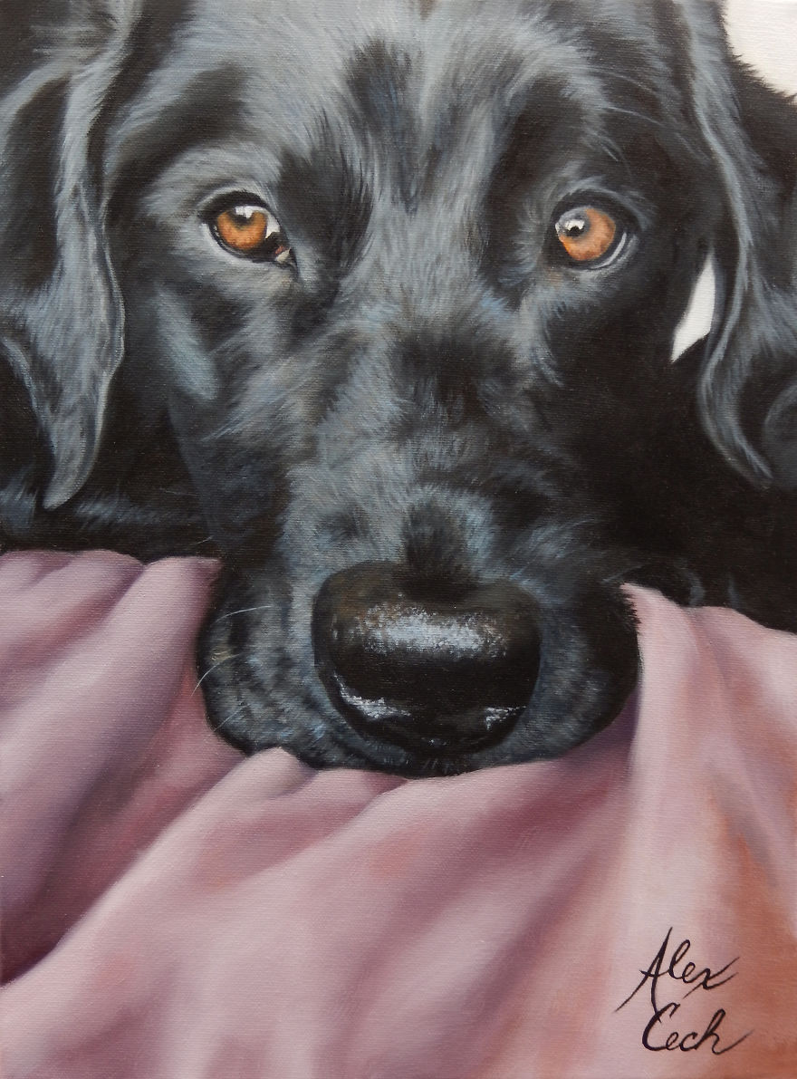 I Create Custom Paintings Of People's Pets I Create Custom Paintings Of People's Pets