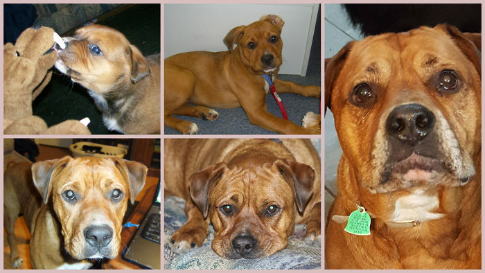 9 Years Of Kali (including The Awkward Adolescent Years)