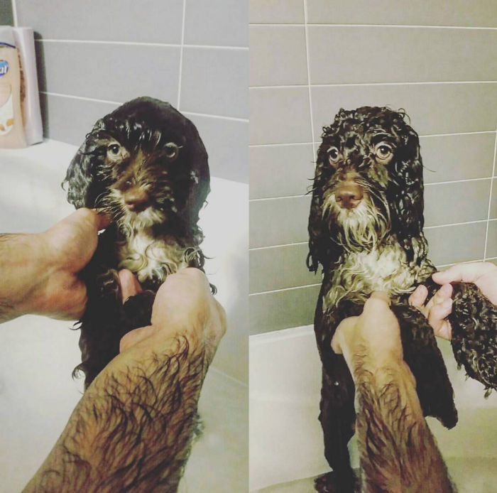 Bathtime! 1 Tile Vs 5.5 Tiles