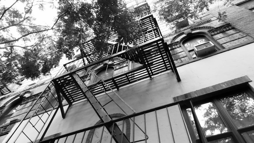 Mikeshake : New York