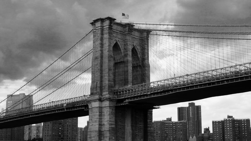 Mikeshake : New York