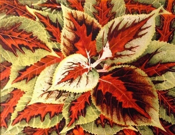 I Saw This Beautiful And Delicate Looking Plant In A Magazine And Said: "Got To Do It!" And Do It I Did And You Can See The Result! Took Me Many, Many Hours And Thousands And Thousands Of Tiny Dots And Lines But At The End, I Was Happy With It!